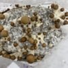 Grow kit for your home growm mushroom